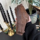 Krystallisert Forsteinet Tre fra Zwenkau, Tyskland #6 thumbnail