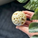 Gul Crazy Lace Agat Kule #2 thumbnail