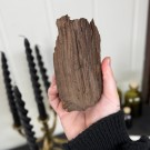 Sjelden Krystallisert Forsteinet Tre fra Zwenkau, Tyskland #13 thumbnail