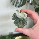 Edderkopp på blad - Fruit Jasper & Serpentin #1 thumbnail
