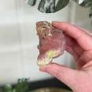 Cherry Plum Blossom Jaspis Edderkopp thumbnail