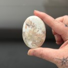 Skolesitt Håndstein #1 (Scolecite) thumbnail