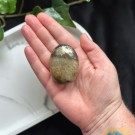 Golden Healer & Pyritt Håndstein #1 thumbnail