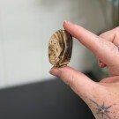Brun Aragonitt Mini Håndstein #1 thumbnail