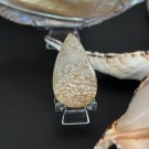 Agatisert Korall/Korall Fossil Dråpe #9 thumbnail