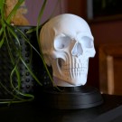 Hodeskalle - Memento Mori  thumbnail