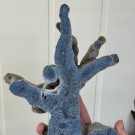 STATEMENT: Stor Blå Fossiliert Korall - 797g  thumbnail