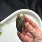 Golden Healer & Pyritt Shiva #2 thumbnail