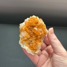 Mandarinkvarts Gruppe [Tangerine] #8 thumbnail