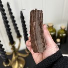 Sjelden Krystallisert Forsteinet Tre fra Zwenkau, Tyskland #5 thumbnail