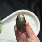 Golden Healer & Pyritt Shiva #2 thumbnail