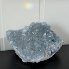 Celestin Gruppe 2,1KG thumbnail