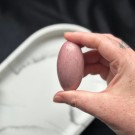 Unik Rosa Forsteinet Tre Shiva #7 thumbnail