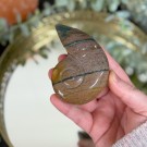 Sjø Jaspis Ammonitt Utskjæring thumbnail