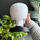 Hodeskalle - Memento Mori  thumbnail