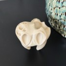 Cursed Tooth thumbnail