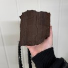 Sjelden Krystallisert Forsteinet Tre fra Zwenkau, Tyskland #19 thumbnail
