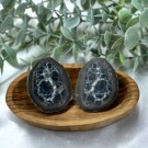 Septarian Nodules Par med Pyritt #5 thumbnail