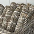 Wormwood Bunt (Malurt) ~ Holy Herb  thumbnail