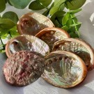 Små Abalone Skjell - Naturlig rituell skål for renselse, ro & balanse thumbnail