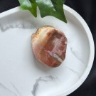 Liten Rød Forsteinet Tre Skive #4 thumbnail