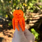 Mini Pumpkin Octopus thumbnail