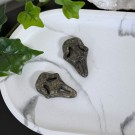 Pyritt Ghost Face thumbnail