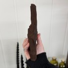Sjelden Krystallisert Forsteinet Tre fra Zwenkau, Tyskland #16 thumbnail