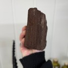Sjelden Krystallisert Forsteinet Tre fra Zwenkau, Tyskland #20 thumbnail