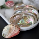 Små Abalone Skjell - Naturlig rituell skål for renselse, ro & balanse thumbnail