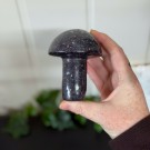 Stor Nydelig Lepidolitt Sopp thumbnail