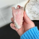 Rosa Opal Dragehode #1 thumbnail