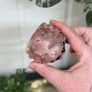 Cherry Plum Blossom Jaspis Edderkopp thumbnail