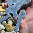 STATEMENT: Stor Blå Fossiliert Korall - 797g  thumbnail