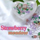 *LIMITED* Strawberry Meadow - Krystallchips 50g thumbnail