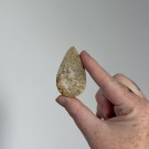 Agatisert Korall/Korall Fossil Dråpe #9 thumbnail