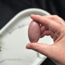 Unik Rosa Forsteinet Tre Shiva #9 thumbnail