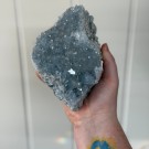 Celestin Gruppe 2,1KG thumbnail