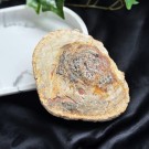 Forsteinet Tre Skive #1 thumbnail