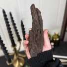 Sjelden Krystallisert Forsteinet Tre fra Zwenkau, Tyskland #3 thumbnail