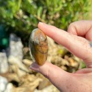 Golden Healer & Pyritt Hjerte #12 thumbnail