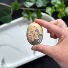 Heulanditt, Skolesitt & Tre Agat Håndstein #9 thumbnail