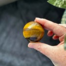 Tigerøye Kule #2 thumbnail