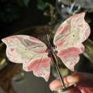 Unik Rhodokrositt Sommerfuglvinger m/stand #3 thumbnail