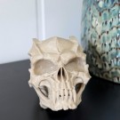 Vel Unt’s Gargoyle Skull - Fantasy Hodeskalle (KUN 1) thumbnail