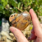 Golden Healer & Pyritt Hjerte #12 thumbnail