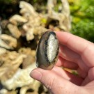 Golden Healer & Pyritt Hjerte #10 thumbnail