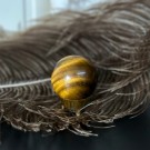 Tigerøye Kule #1 thumbnail