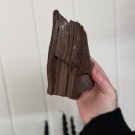 Sjelden Krystallisert Forsteinet Tre fra Zwenkau, Tyskland #21 thumbnail