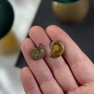 Miniatyr Ammonitt Par #1 thumbnail